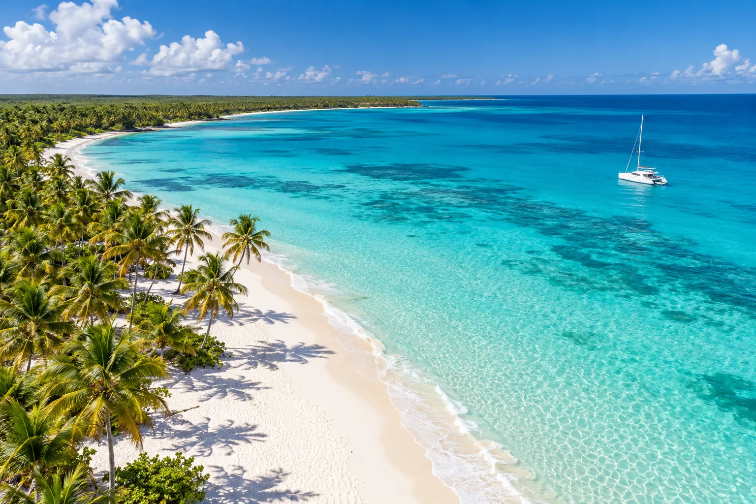 Imagen conceptual de una playa caribeña con palmeras y catamarán